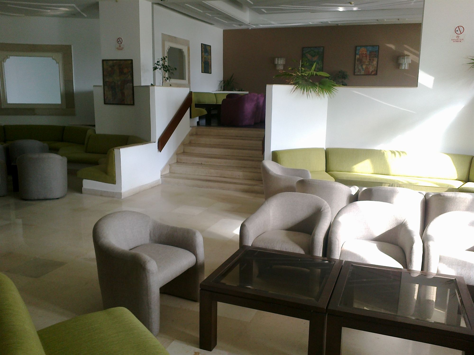 Yadis Hammamet
